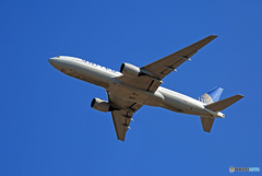 「青空」 UNITED 777-222 N781UA離陸