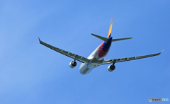 離陸 ASIANA A330-323 HL8286