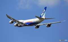 NCA 747-8KZF JA14KZ 離陸 