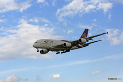 「SKY」 THAI A380-841 HS-TUF 着陸 「SKY」 THAI A380-841 HS-TUF 着陸