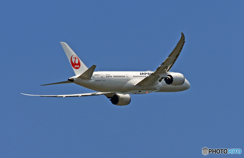 JAL 787-8 JA842J 離陸 