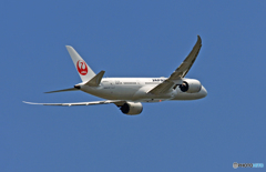 JAL 787-8 JA842J 離陸 