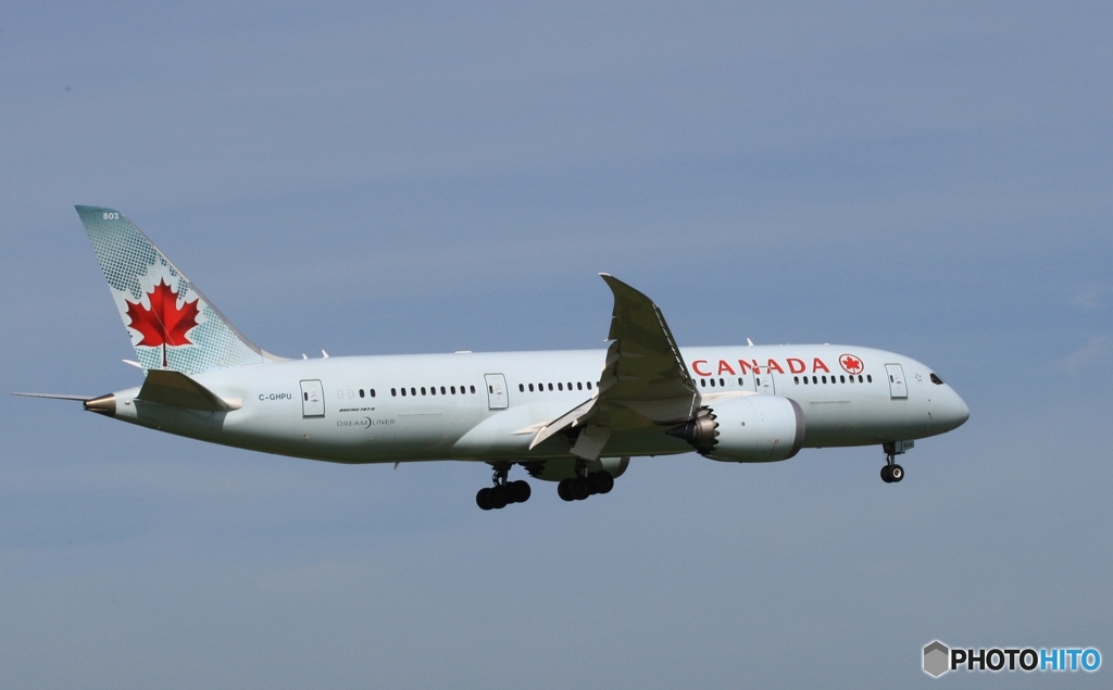 Air CANADA 787-8 到着　