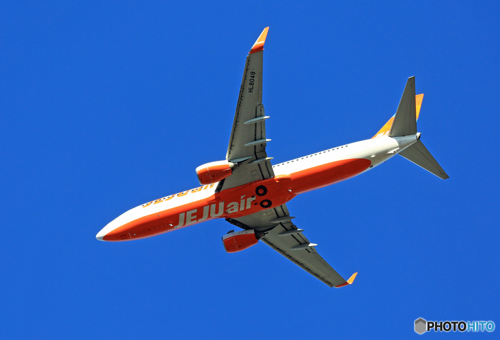 「青空」 JEJU 737-8AS HL8049