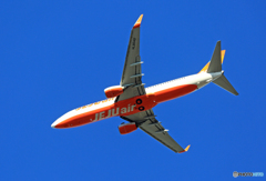 「青空」 JEJU 737-8AS HL8049