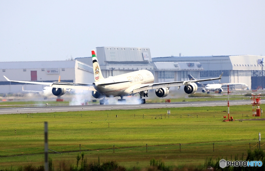 ETIHAD A340-500  到着