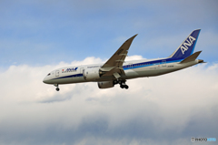 「良い空～」ANA 787-8 JA829A着陸