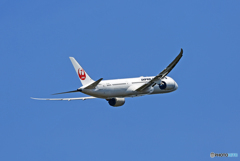 JAL787-9 JA863J 出発　
