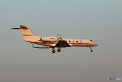 ☀プライベート機Gulfstream Aerospace  N167AD