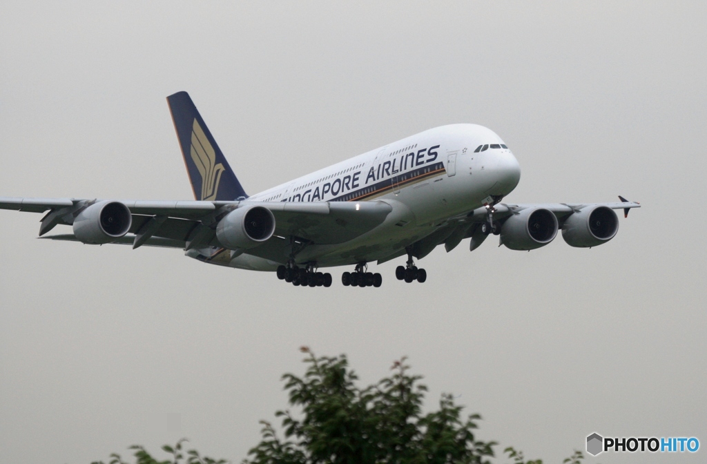 着陸　SINGAPORE A380-841