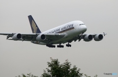 着陸　SINGAPORE A380-841