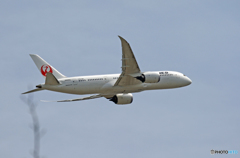 JAL 787-8 JA836J 飛び立ち　
