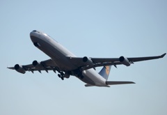 Lufthansa A340-313 初撮り