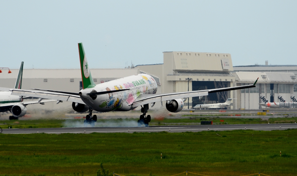 着陸（4-4）EVR A330-200 Hello Kitty [d]　　  