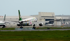 着陸（4-4）EVR A330-200 Hello Kitty [d]　　  