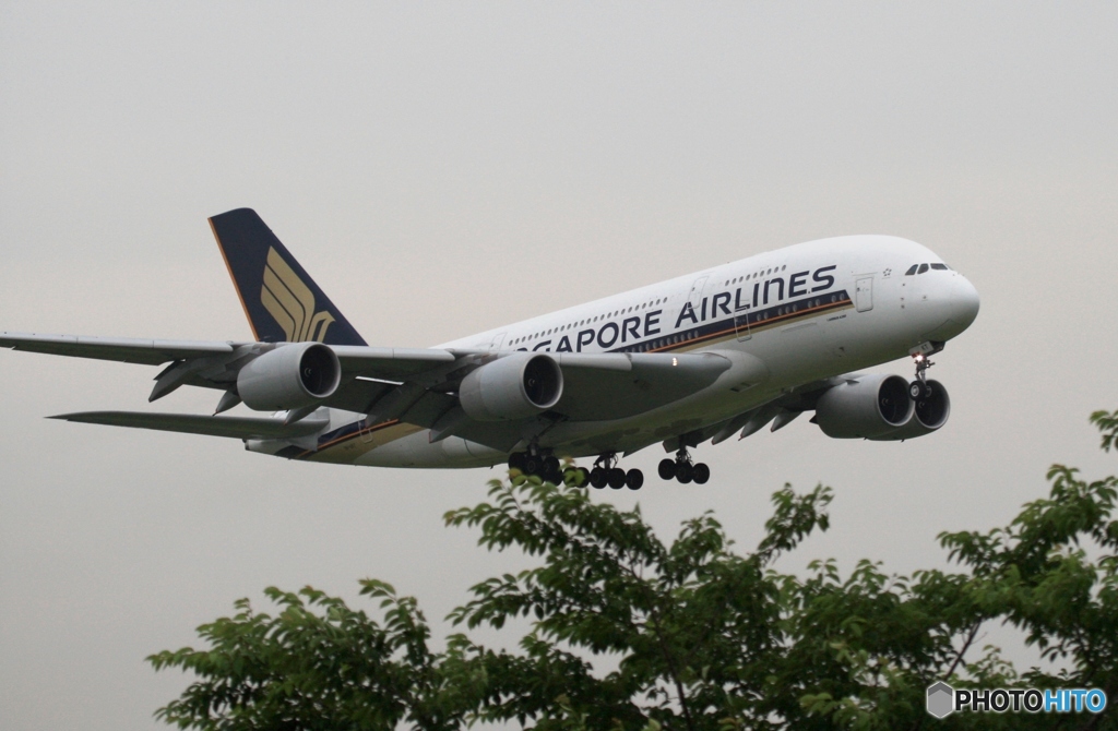 到着　SINGAPORE A380-841
