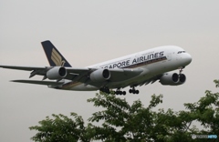 到着　SINGAPORE A380-841