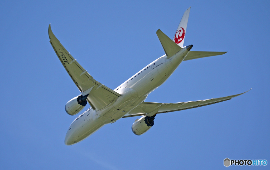 JAL 787-8 JA829J 飛び立ち 
