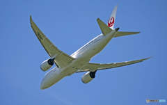JAL 787-8 JA829J 飛び立ち 
