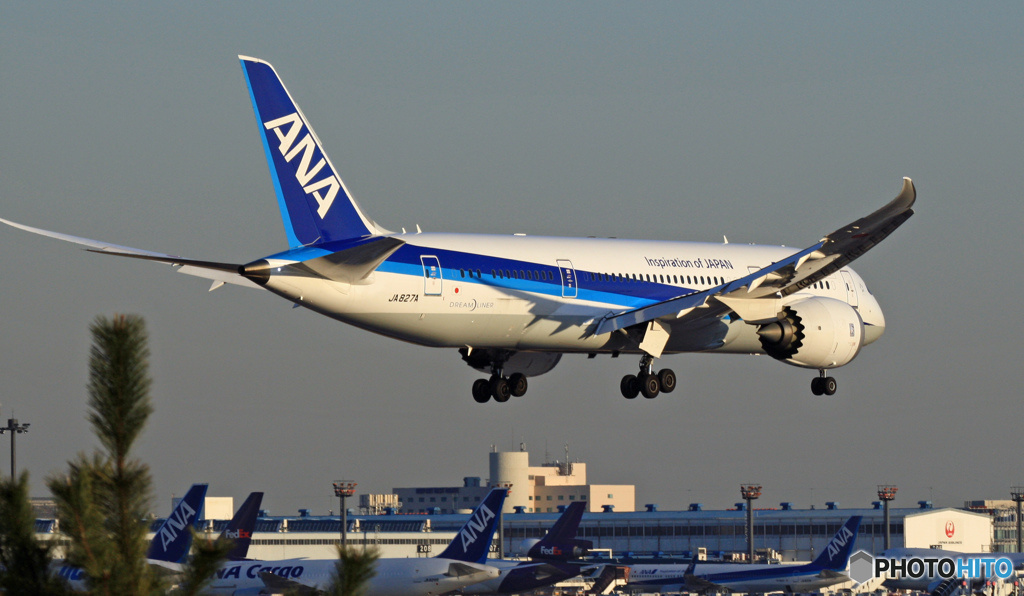 着陸 ANA 787-8 JA827A