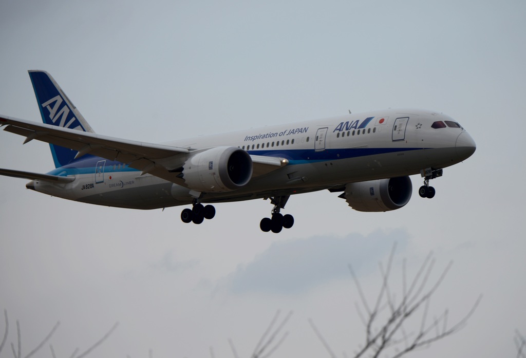 ANA 787-8 到着