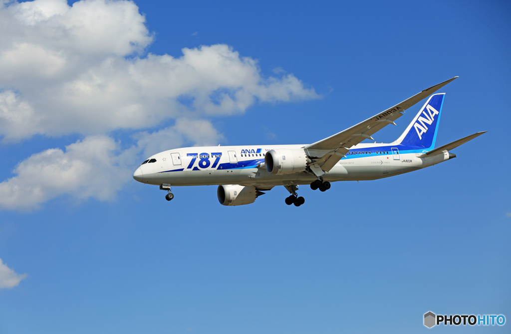 「SKY」 ANA 787-8 JA803A Landing