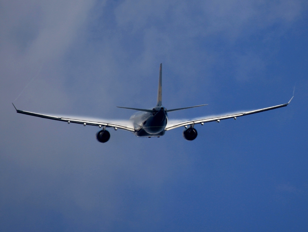 飛行　Vietnam A330-200 ﾍﾞｲﾊﾟｰ?