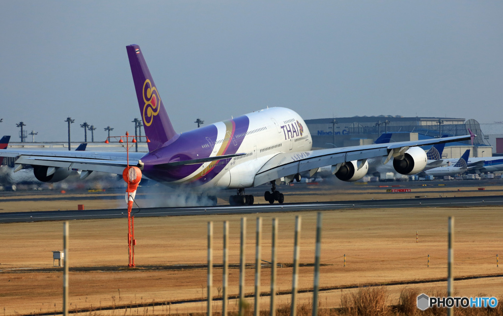 着陸 THAI A340-841 HS-TUF