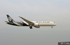 [青い空] AIR NZ' 787-9 ZK-NZD 着陸