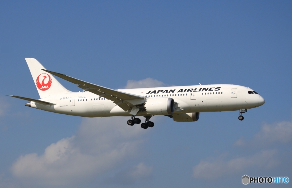 JAL 787-8 着陸　
