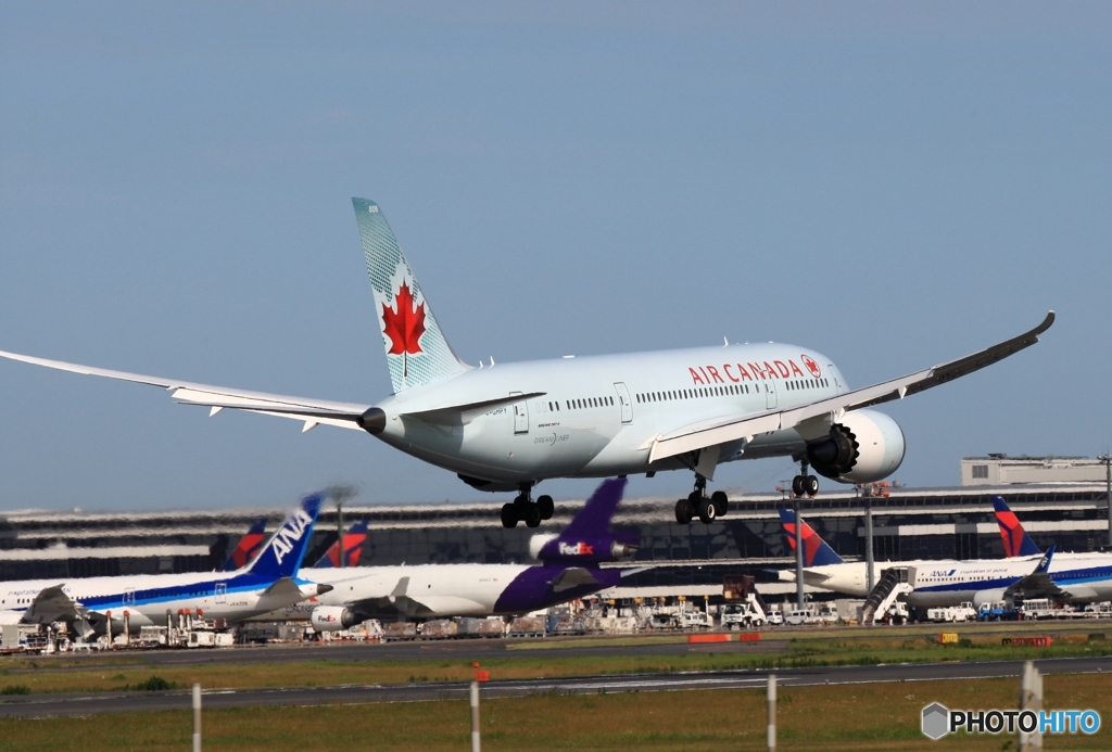 到着　Air Canada 787-8 