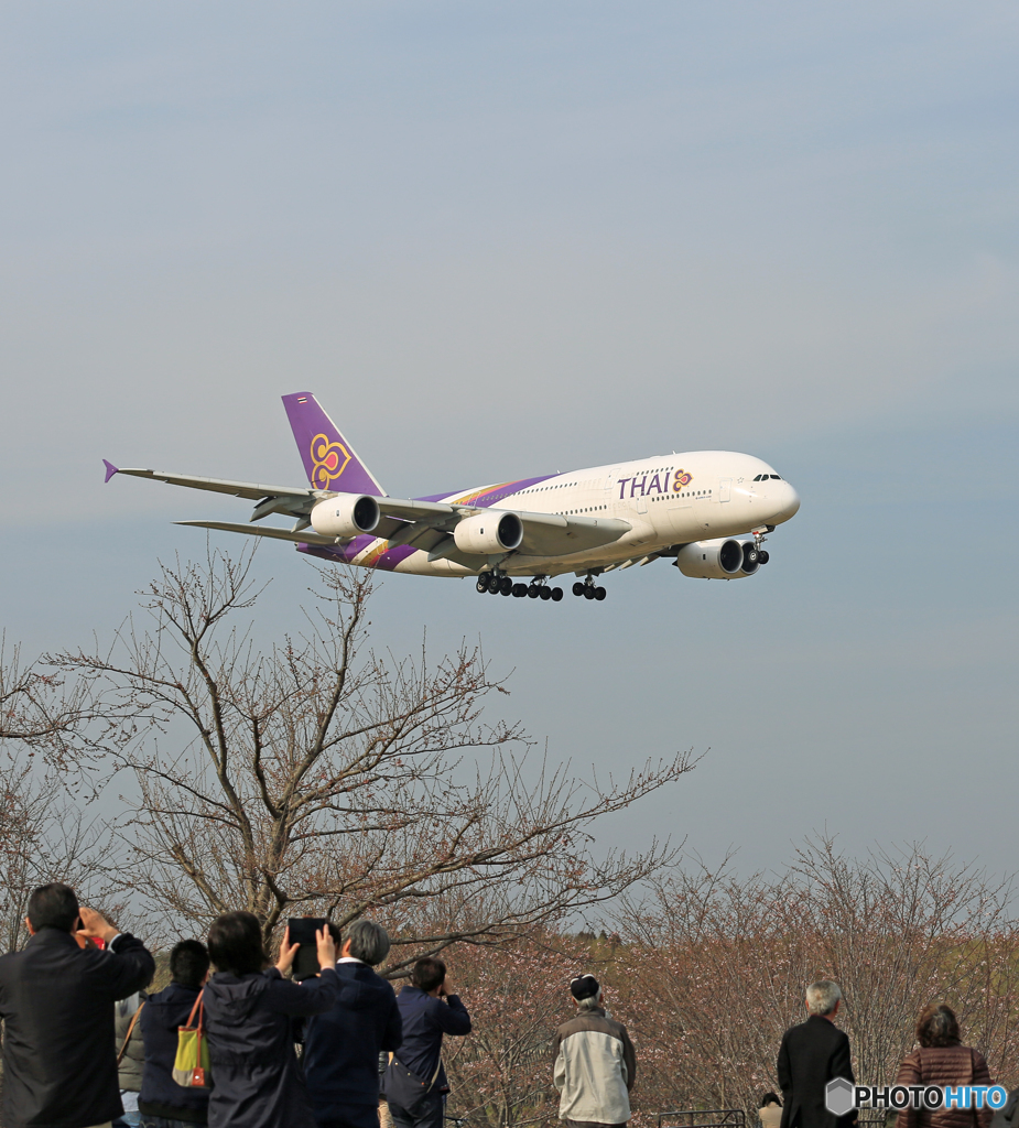 「良い天気」 Thai A380-841 HS-TUA Landing