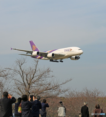 「良い天気」 Thai A380-841 HS-TUA Landing 「良い天気」 Thai A380-841 HS-TUA Landing