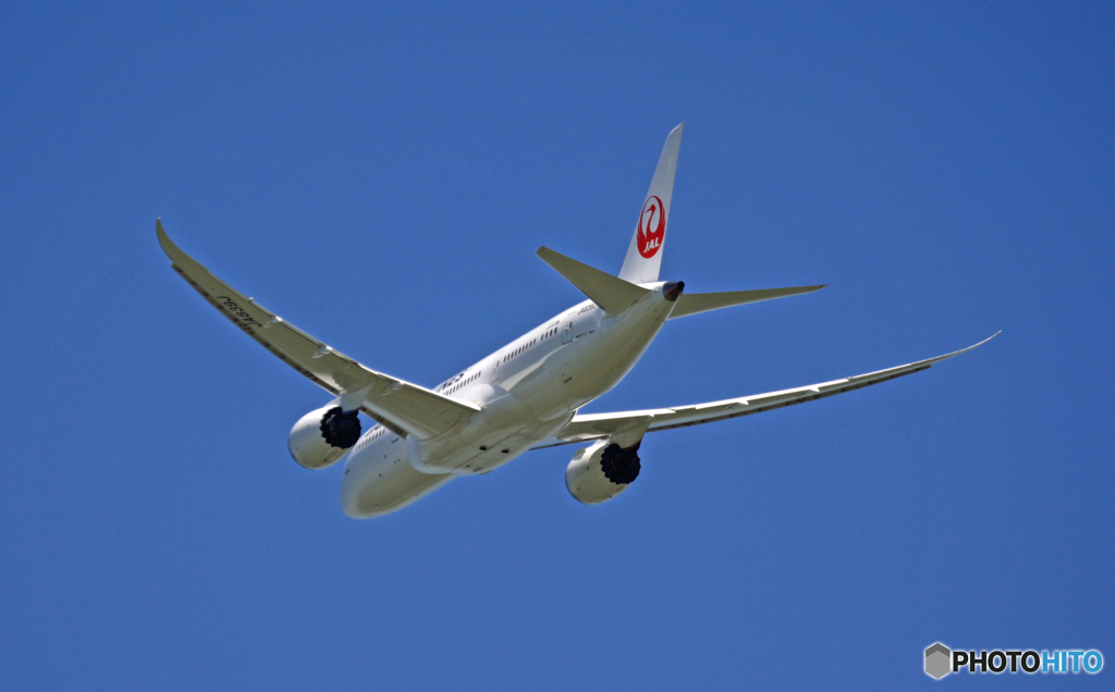 飛行 JAL 787-8 JA839J