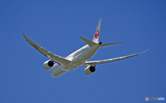 飛行 JAL 787-8 JA839J