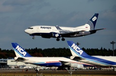 着陸(189) オーロラ航空 737-500 RA-73006 