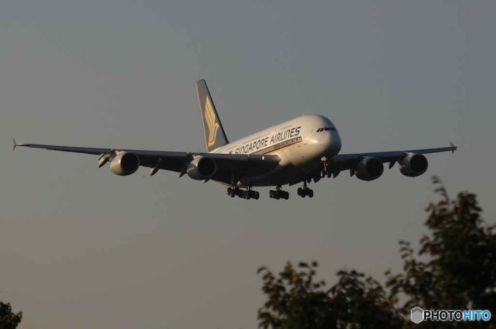 到着　Singapore A380-841