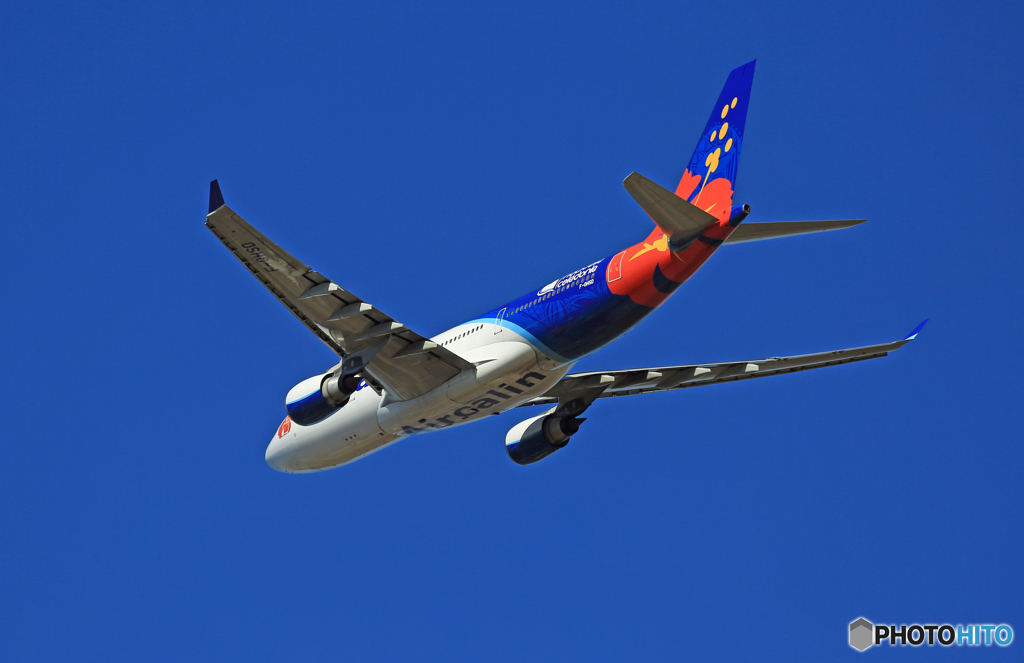 「青い空」が一番 Air Calin A330-202 F-OHSD