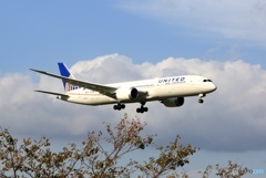 United 787-9 到着