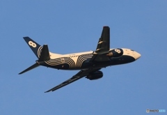 出発　Aurora 737-5L9 