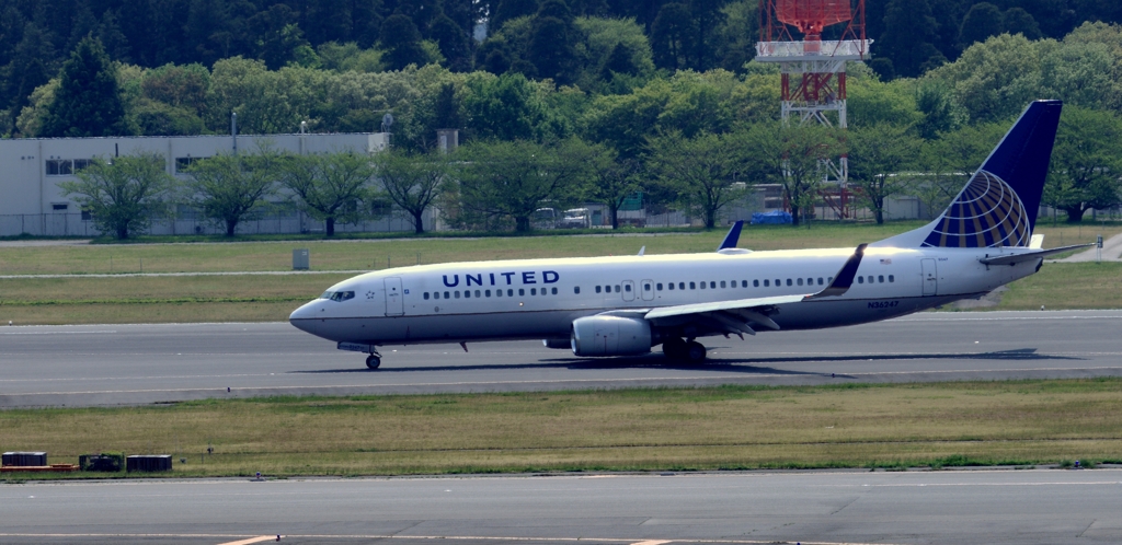 UNITED 737-800
