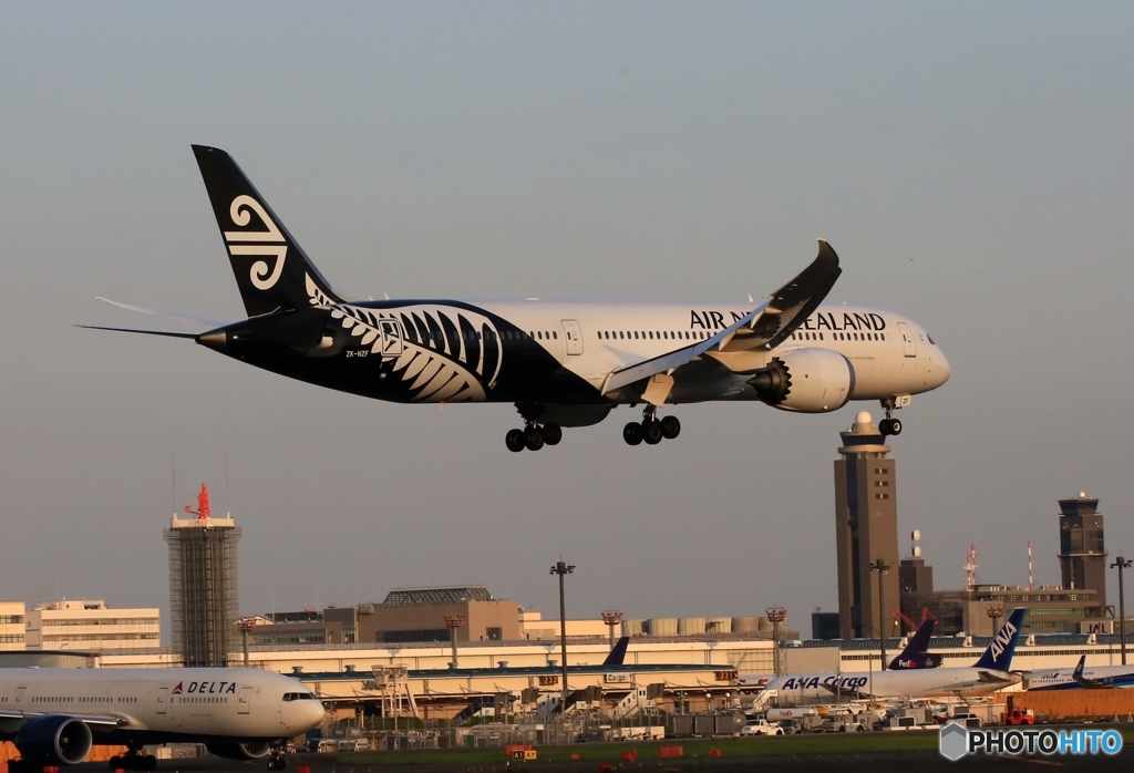Air New Zealand 787-9 ZK-NZF
