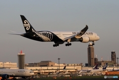 Air New Zealand 787-9 ZK-NZF