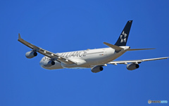 出発 Lufthansa A340-300 D-AIGW