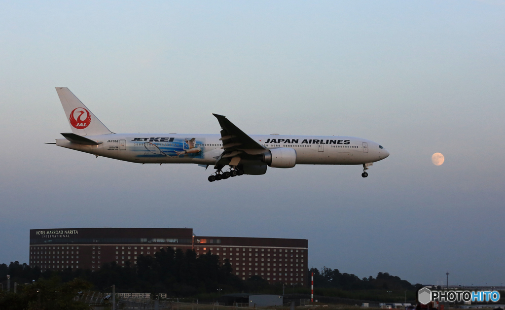 「テニスボール」 と 「 JET KEI 」 〇