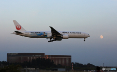 「テニスボール」 と 「 JET KEI 」 〇