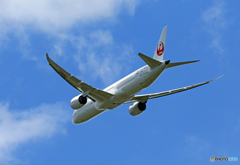  ☀ JAL 787-9 JA862J 飛び立ち 