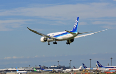 [青い空]　ANA 787-8 JA805A