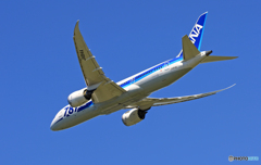 「ぶるー」 ANA 787-8 JA814A飛び立ち 