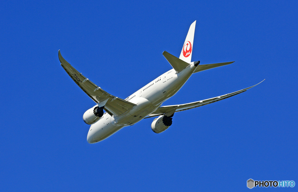 「青空」JAL 787-8 JA841J 出発